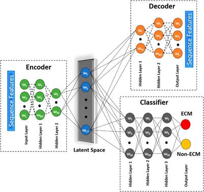 ECM-LSE: Prediction of Extracellular Matrix Proteins Using Deep Latent Space Encoding of k-Spaced Amino Acid Pairs